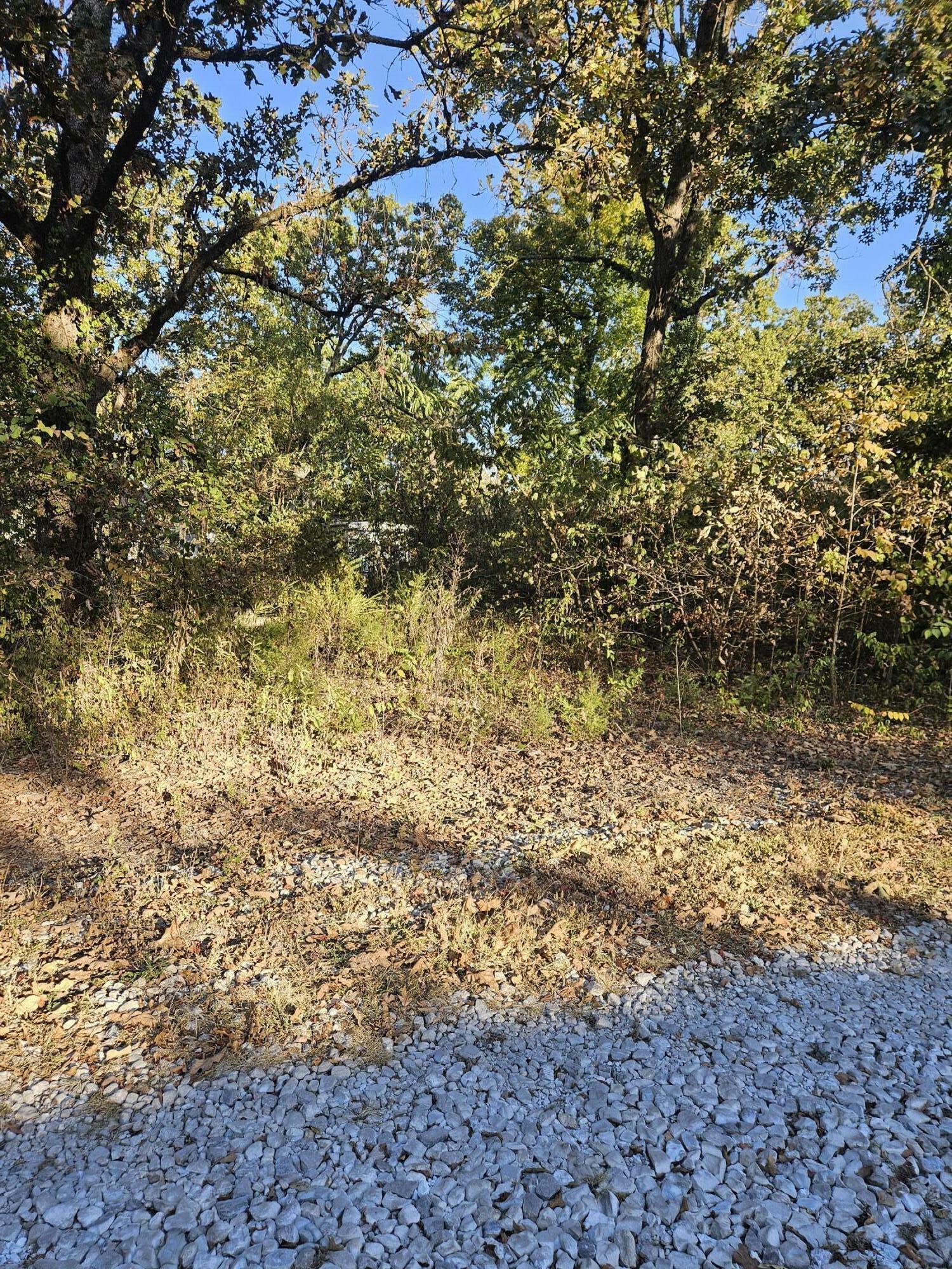Property Photo: 23969 Woodpecker Street MO 65724
