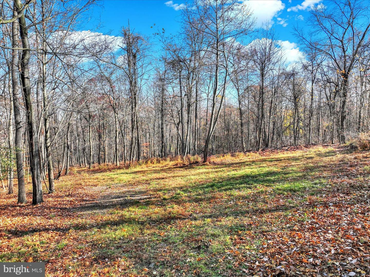 Property Photo:  Lot Big Oak Road  PA 17019 