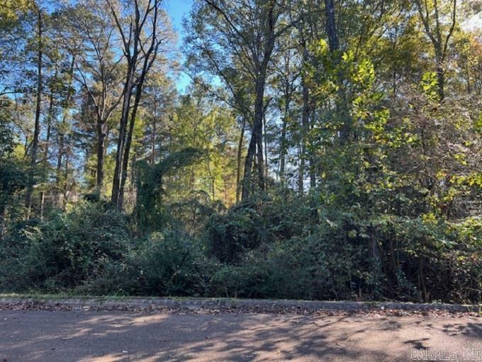 Property Photo:  Lot 13 Mockingbird Lane  AR 71701 
