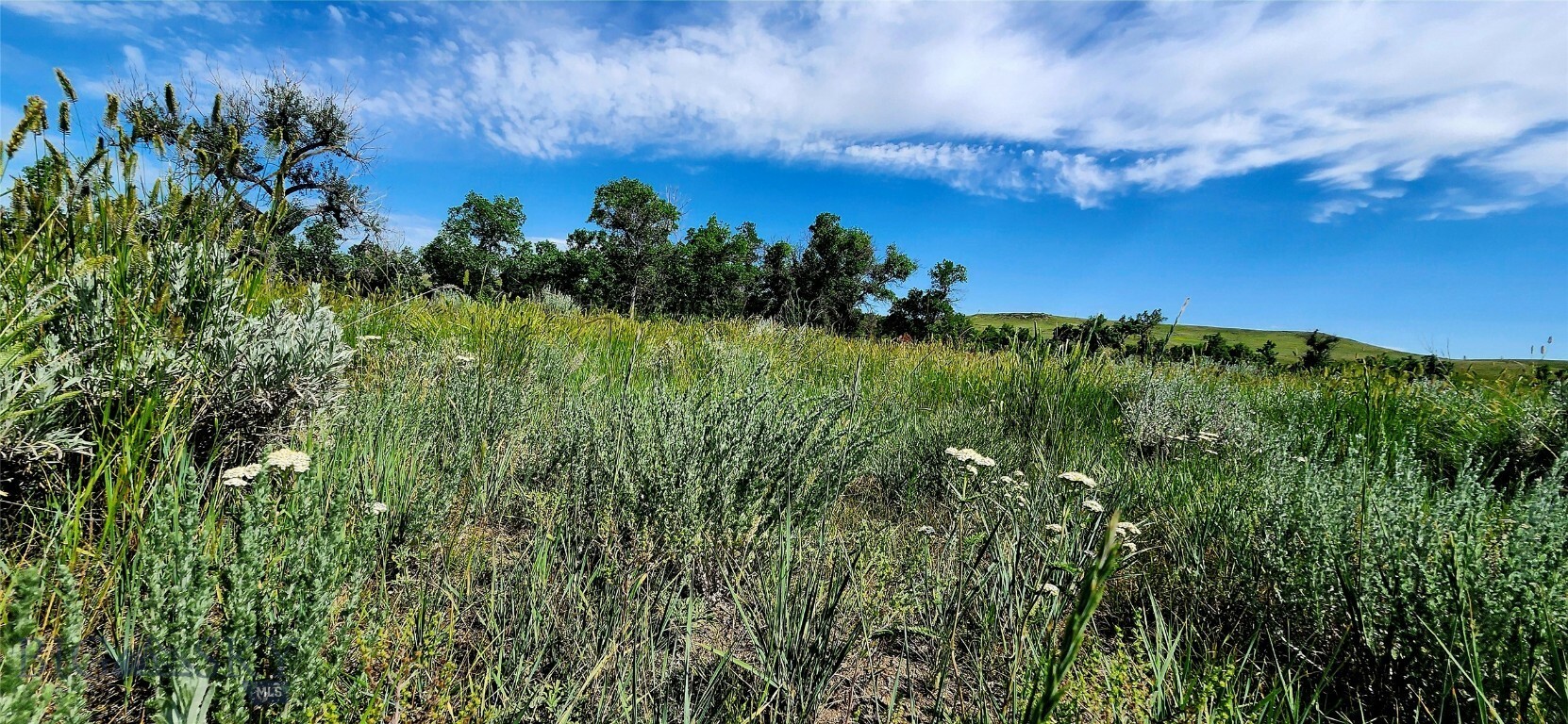 Property Photo:  0 Buffalo Coulee Unit  MT 59230 