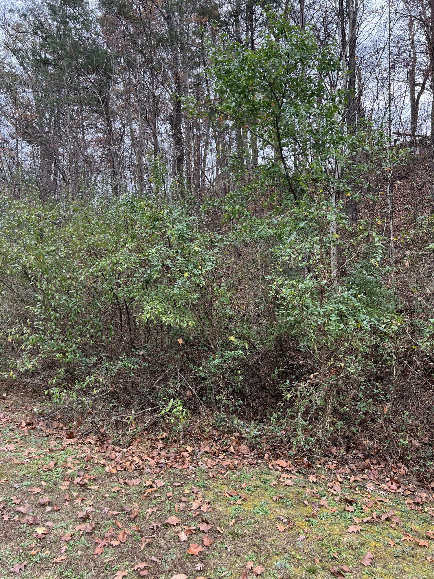 Property Photo:  9999 Brush Arbor Road  KY 40769 