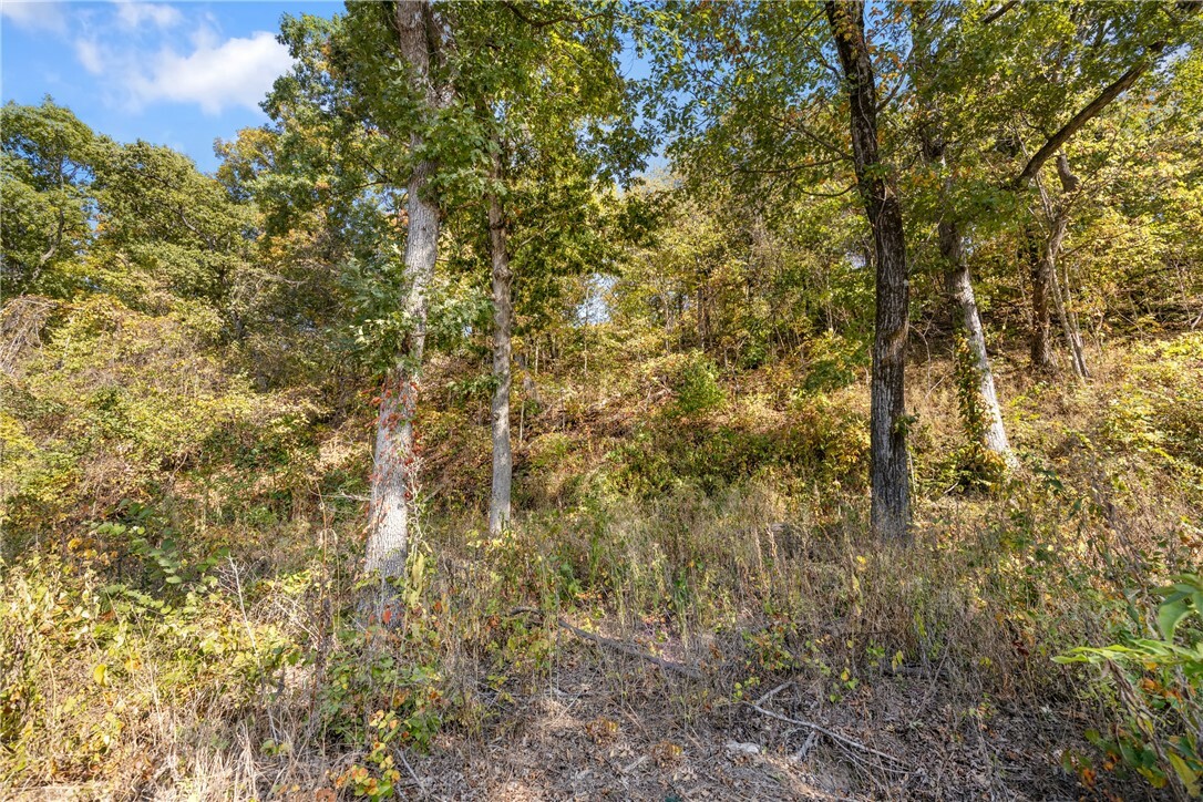 Property Photo:  Lot 6 Peaceful Place  AR 72601 