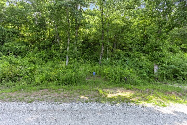 Property Photo: Lot 6 Peaceful Place AR 72601