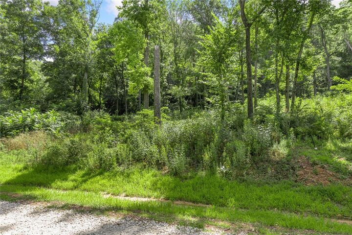 Property Photo: Lot 4 Significance Summit AR 72601
