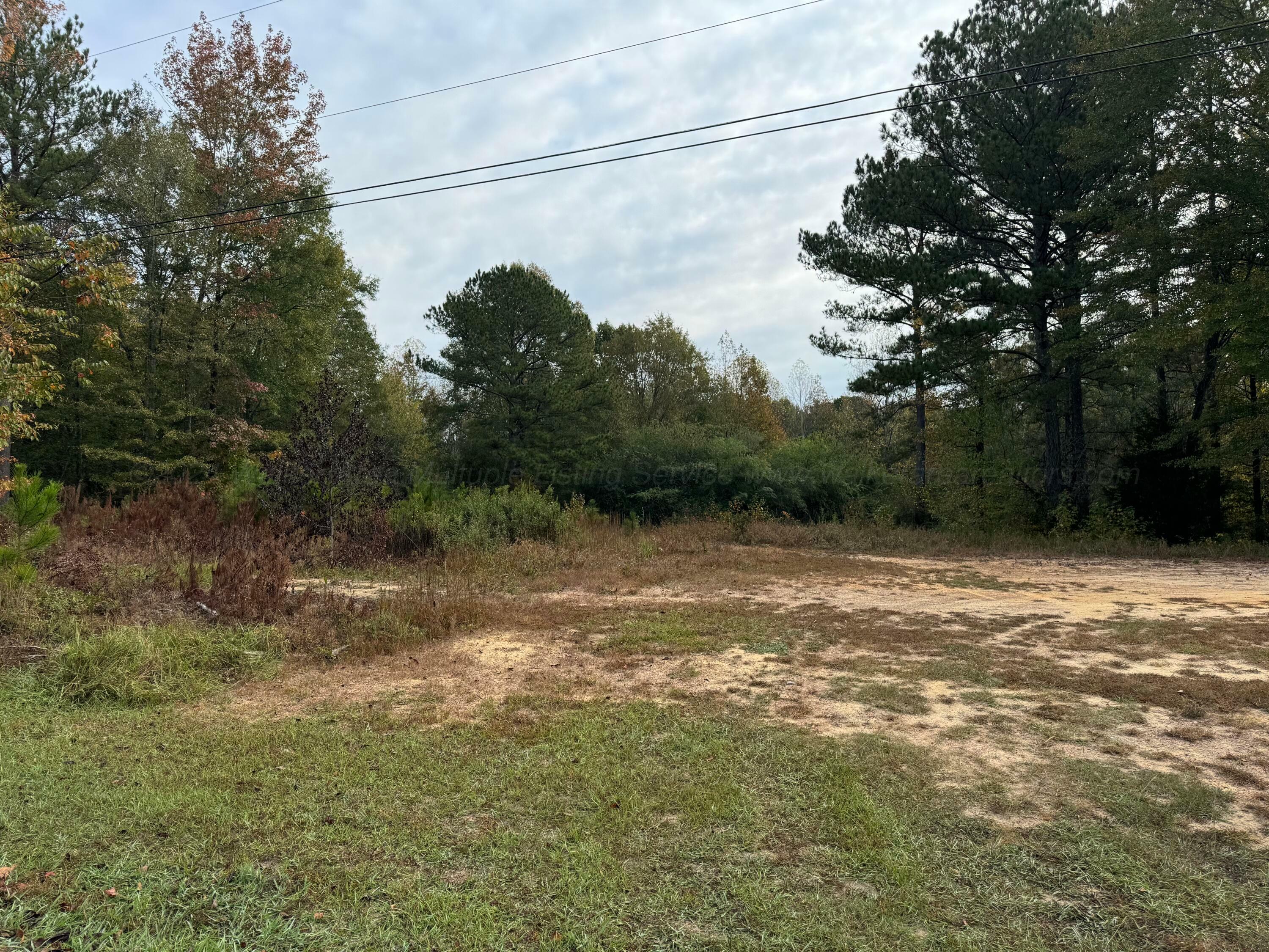 Property Photo:  Lot 5 Evans Cir  AL 35501 