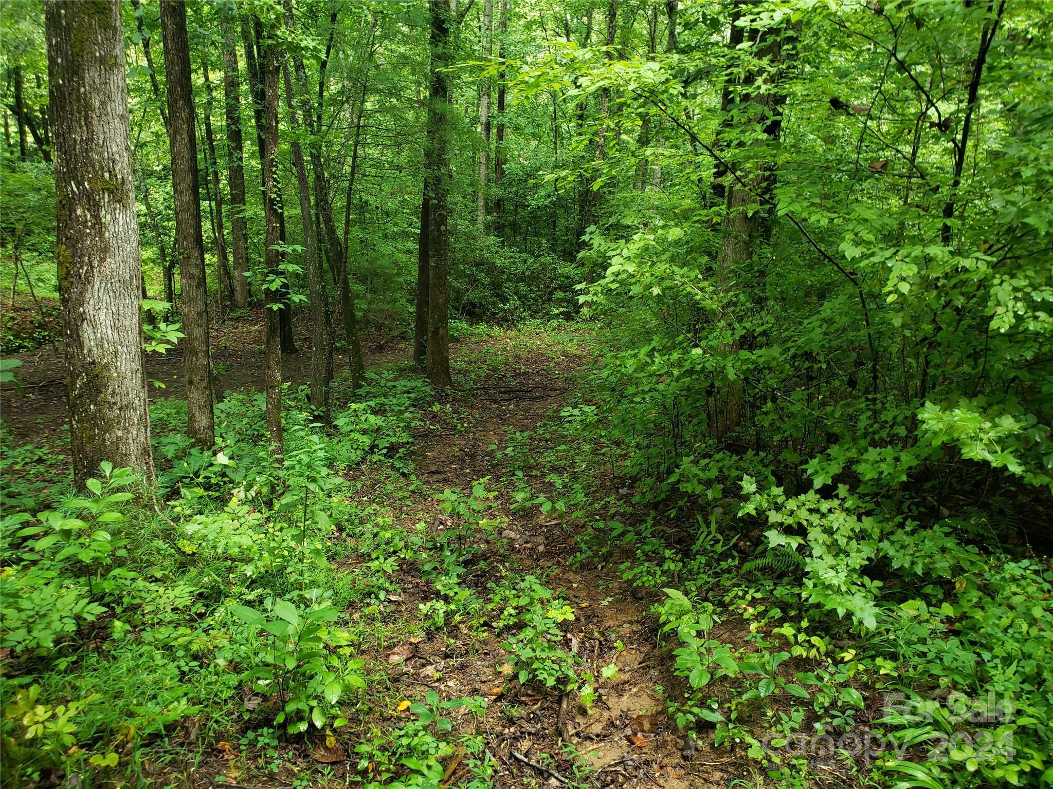 Property Photo:  00 Luckadoo Mountain Road  NC 28018 