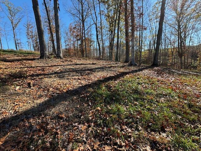 Property Photo:  263 Woods Creek Lake Drive  KY 42503 