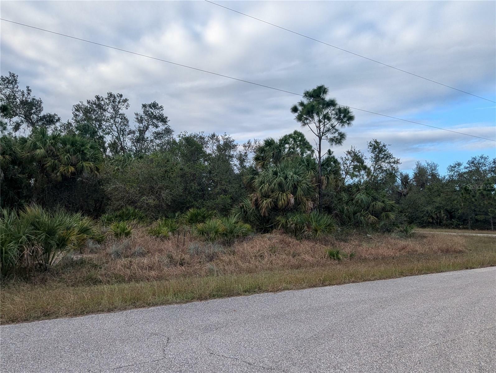 Property Photo:  Lot 11 Mattox Circle  FL 34288 