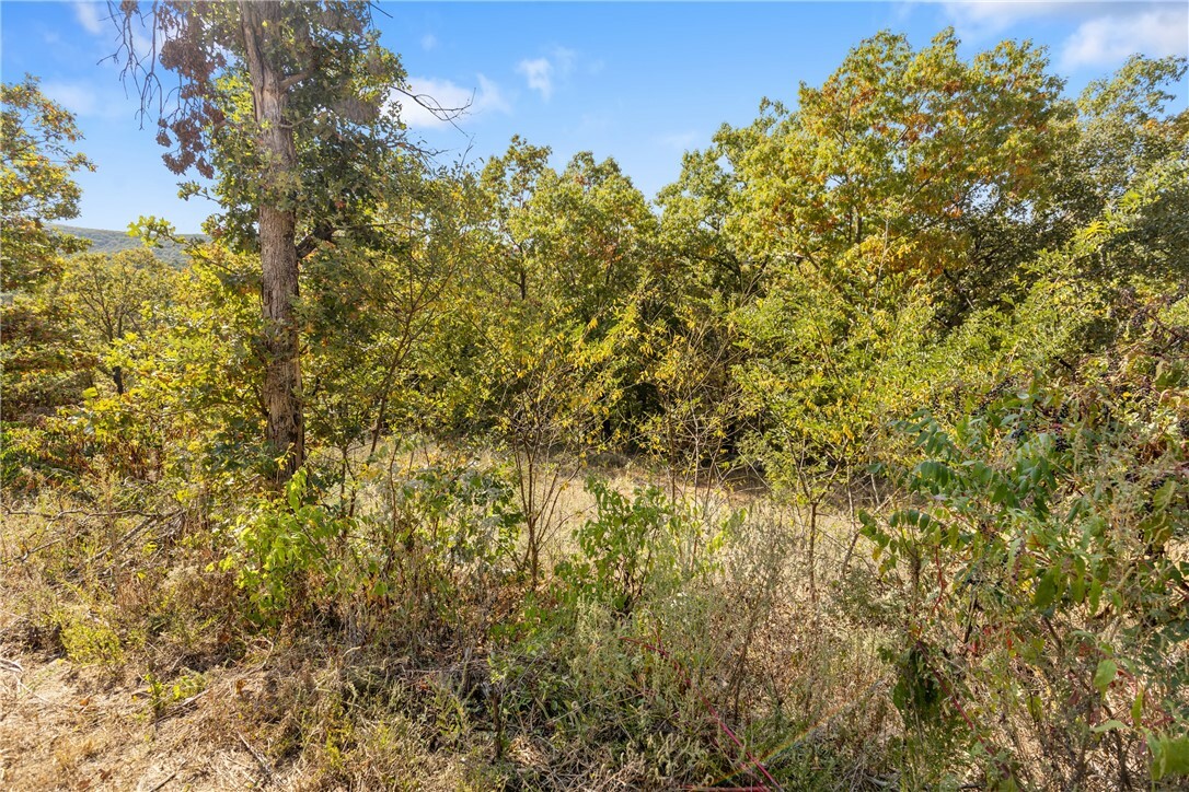 Property Photo:  Lot 24 Peaceful Place  AR 72601 