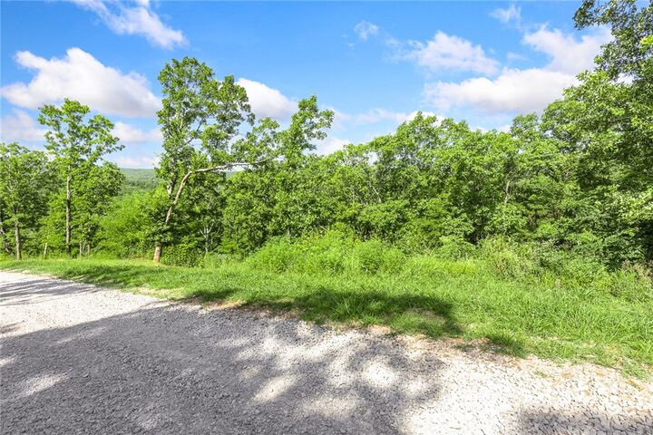 Property Photo: Lot 24 Peaceful Place AR 72601