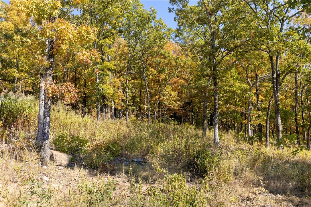 Property Photo:  Lot 16 Peaceful Place  AR 72601 