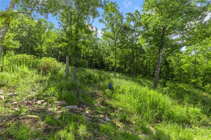 Property Photo: Lot 16 Peaceful Place AR 72601