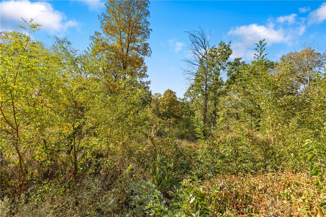 Property Photo:  Lot 29 Peaceful Place  AR 72601 