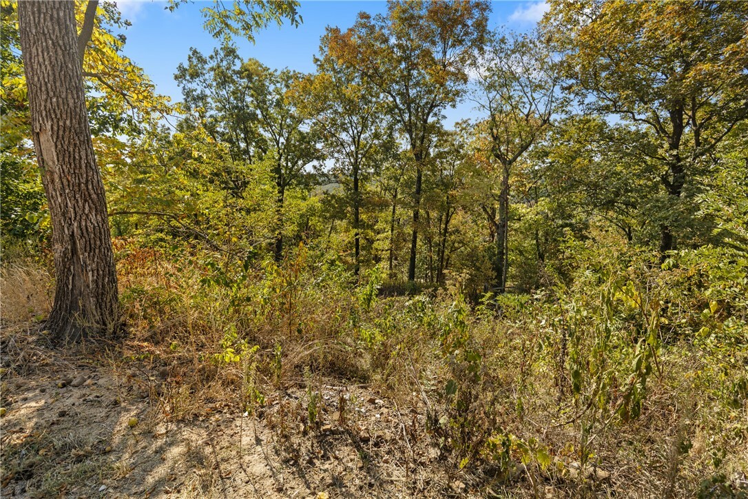 Property Photo:  Lot 26 Peaceful Place  AR 72601 