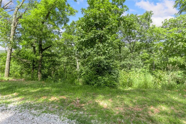 Property Photo: Lot 26 Peaceful Place AR 72601