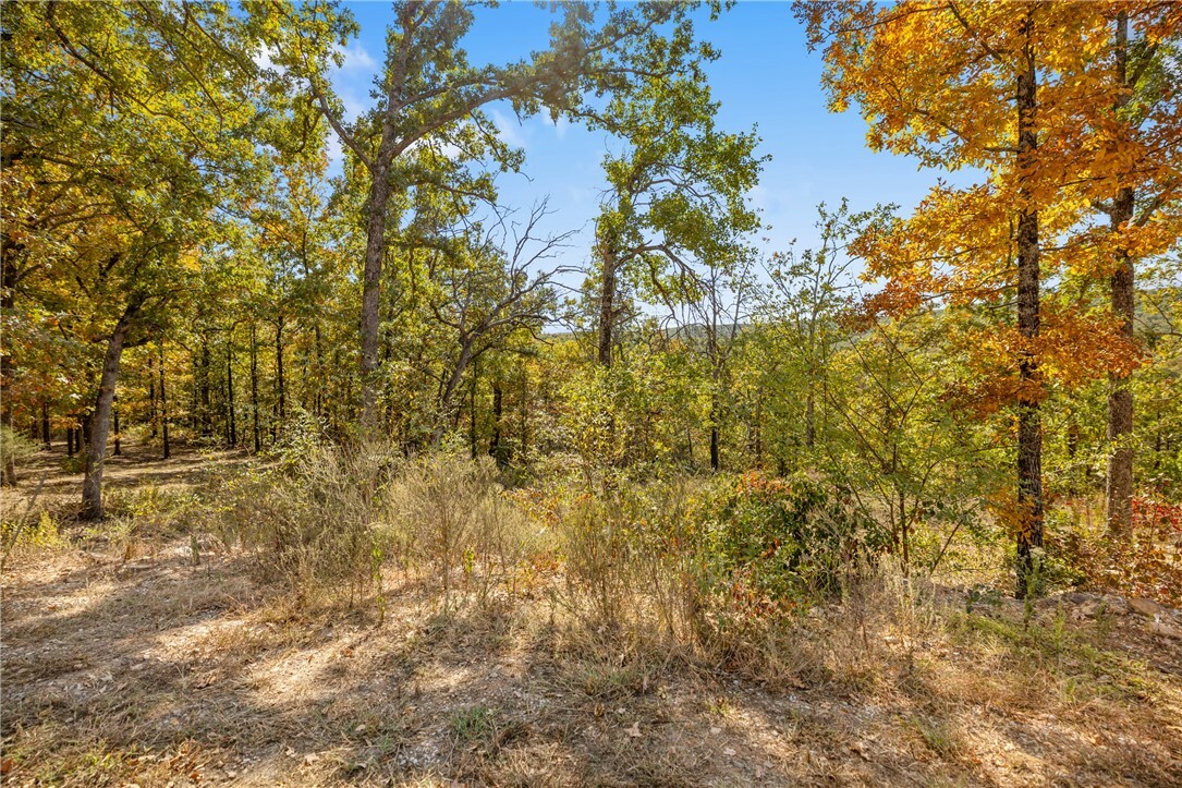 Property Photo:  Lot 20 Restore Ridge  AR 72601 