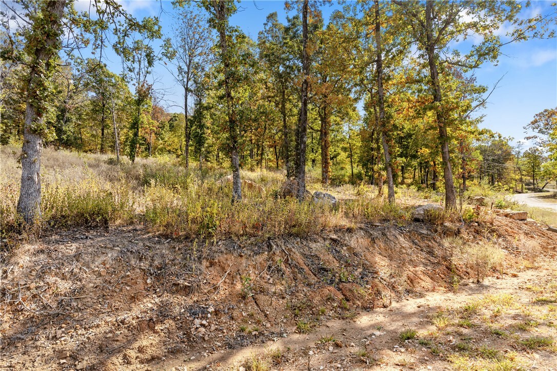 Property Photo:  Lot 45 Restore Ridge  AR 72601 