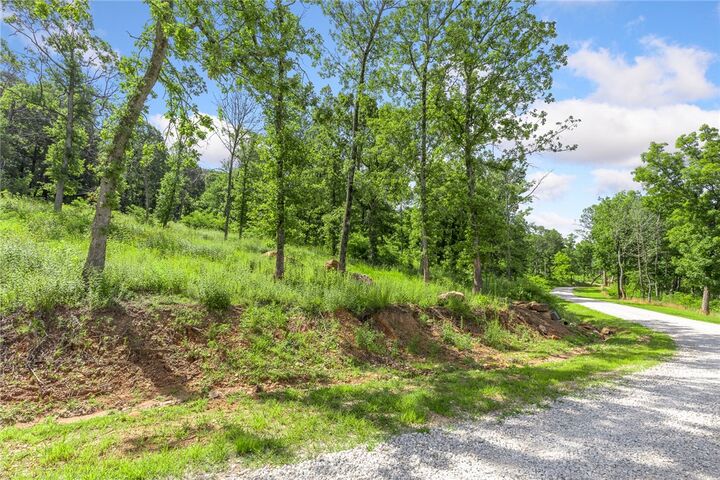 Property Photo: Lot 45 Restore Ridge AR 72601