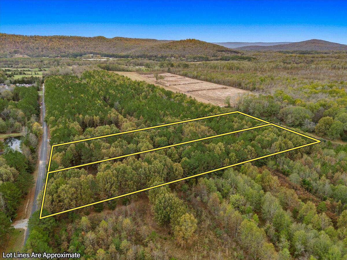 6.96 Acres County Road 531  Scottsboro AL 35768 photo