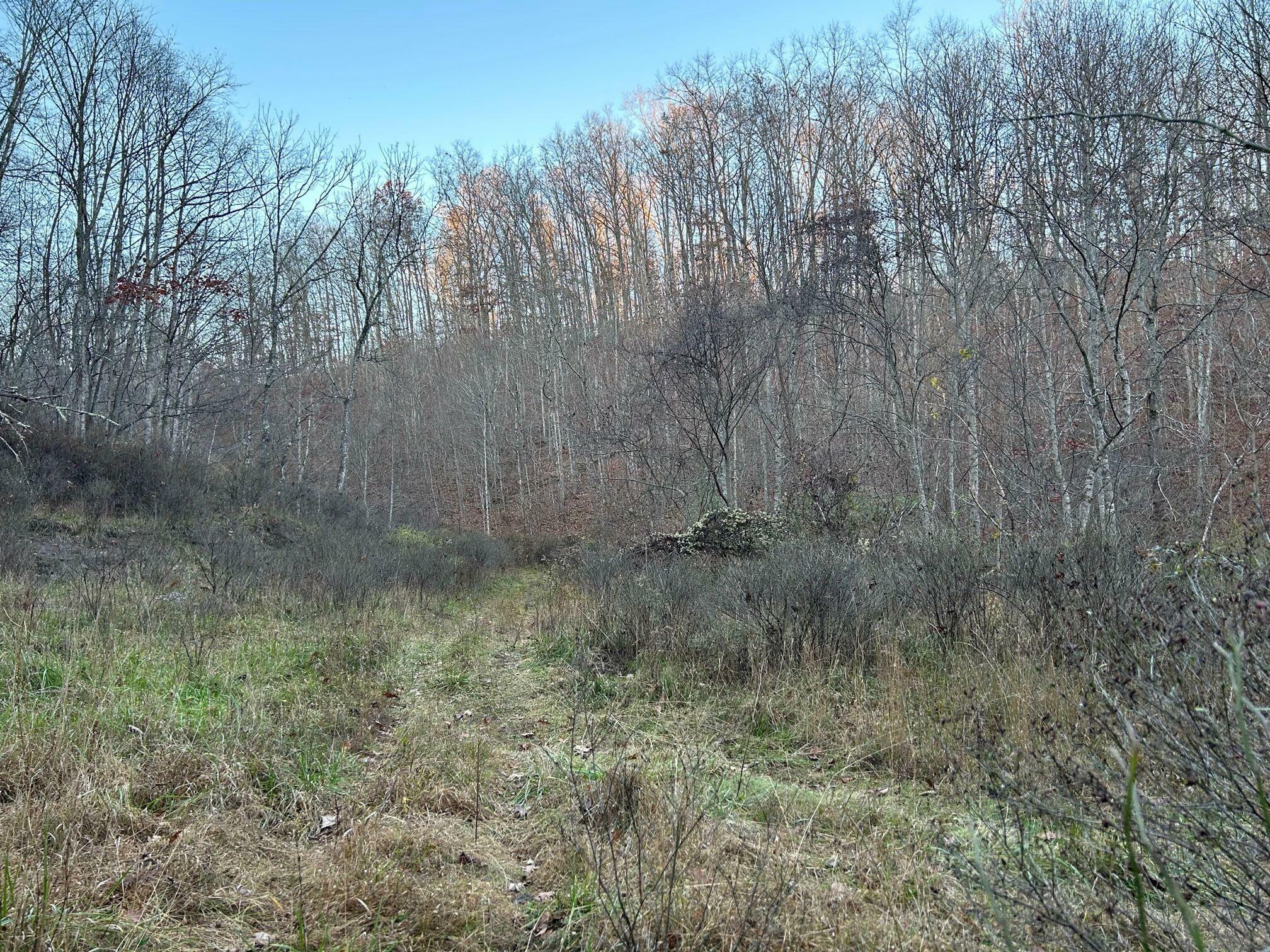 Dale Hollow Rd  Renick WV 24966 photo