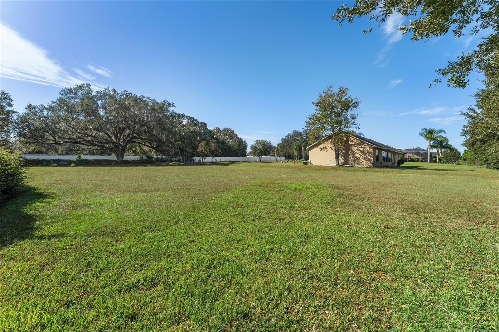 Property Photo:  523 Dowling Circle  FL 32159 