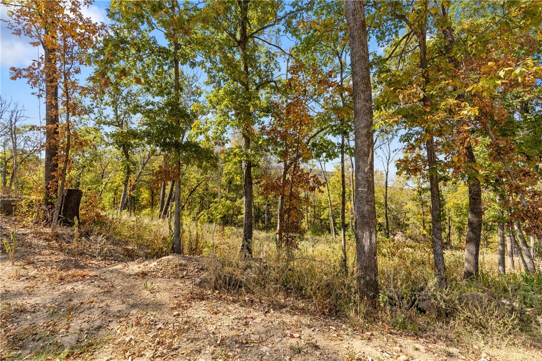 Property Photo:  Lot 78 Restore Ridge  AR 72601 