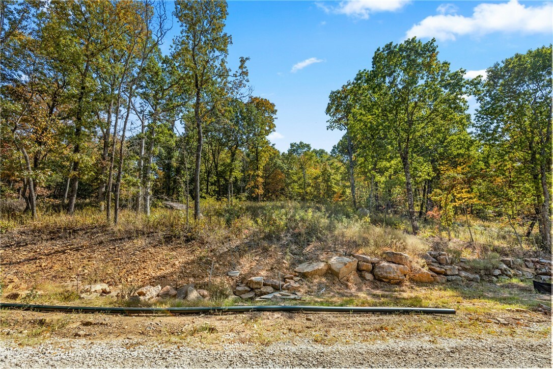 Property Photo:  Lot 102 Restore Ridge  AR 72601 