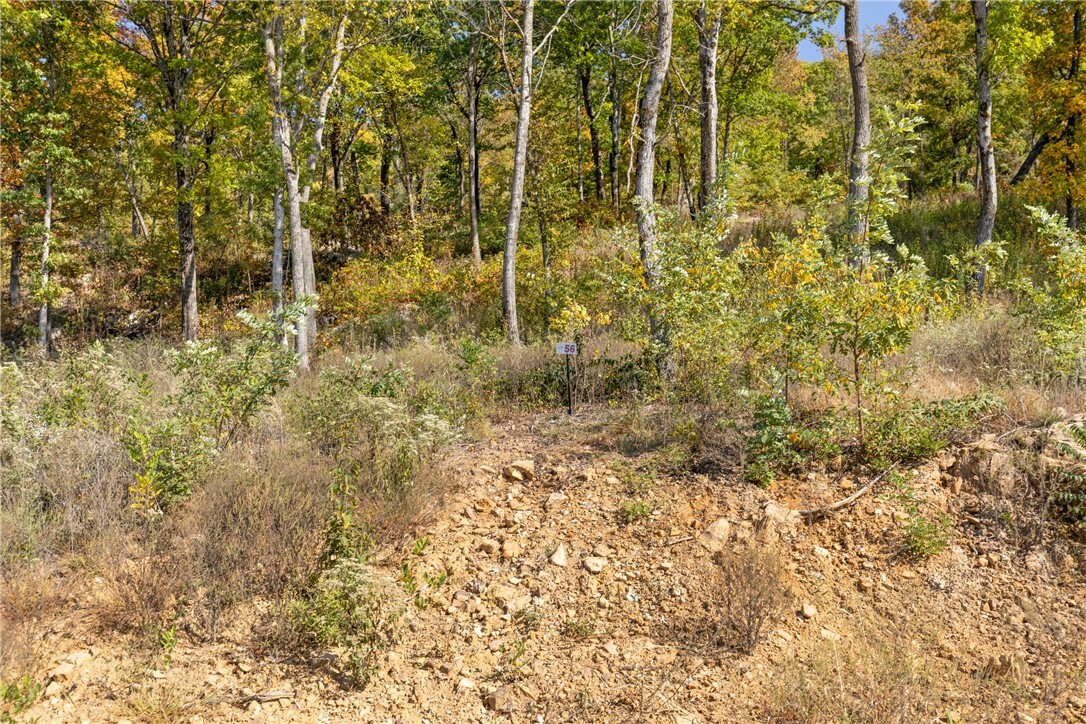 Property Photo:  Lot 56 Restore Ridge  AR 72601 