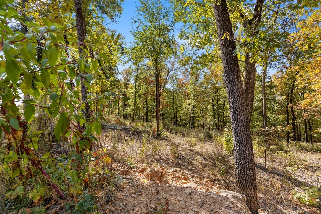 Property Photo:  Lot 70 Restore Ridge  AR 72601 