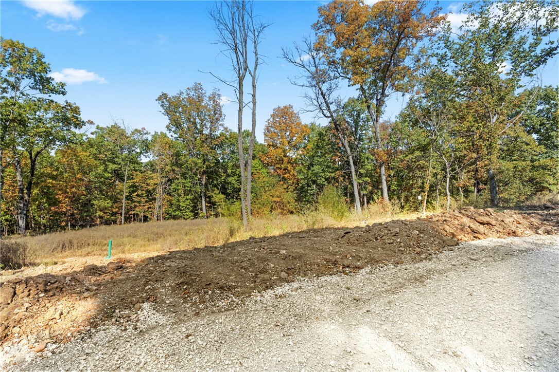 Property Photo:  Lot 89 Restore Circle  AR 72601 