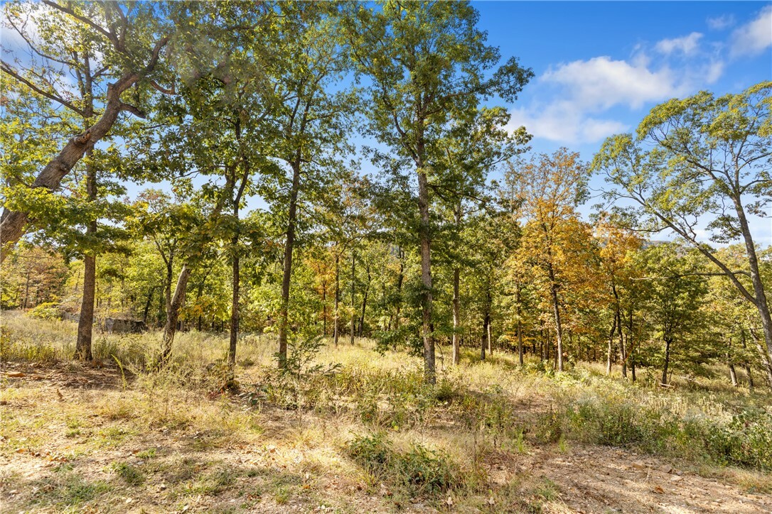 Property Photo:  Lot 75 Restore Ridge  AR 72601 