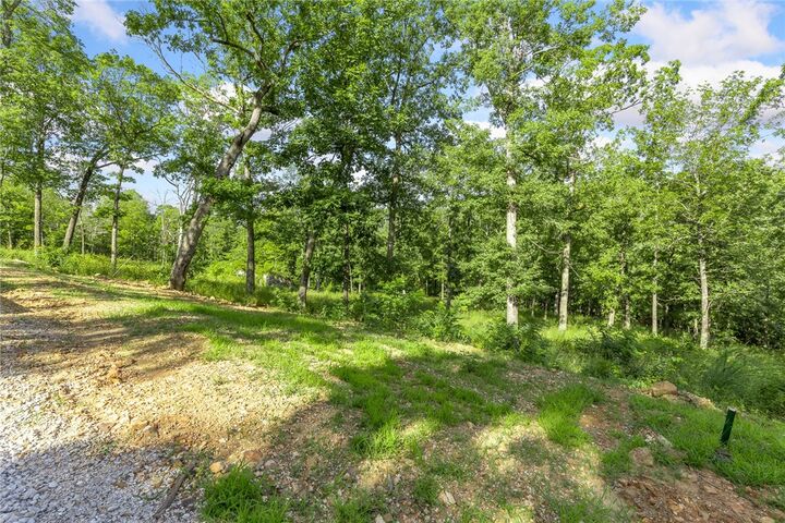 Property Photo: Lot 75 Restore Ridge AR 72601