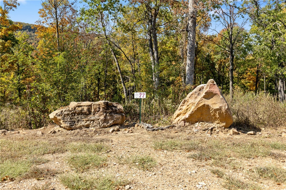 Property Photo:  Lot 77 Restore Ridge  AR 72601 