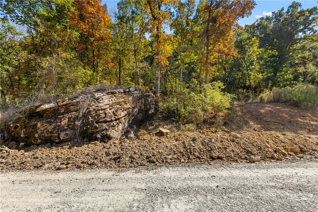 Property Photo:  Lot 117 Significance Summit  AR 72601 