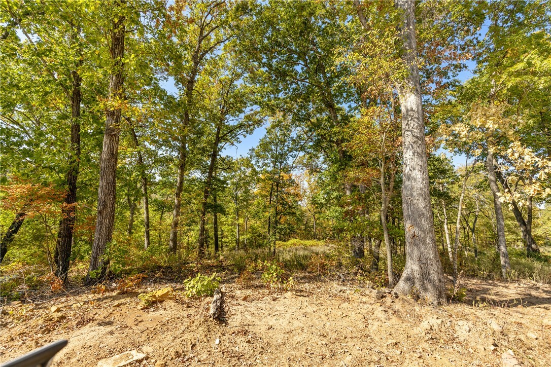 Property Photo:  Lot 81 Restore Ridge  AR 72601 