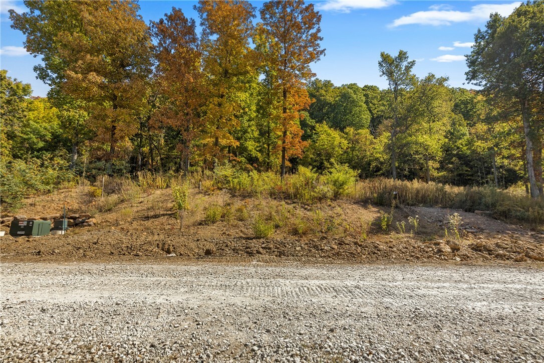 Property Photo:  Lot 119 Significance Summit  AR 72601 