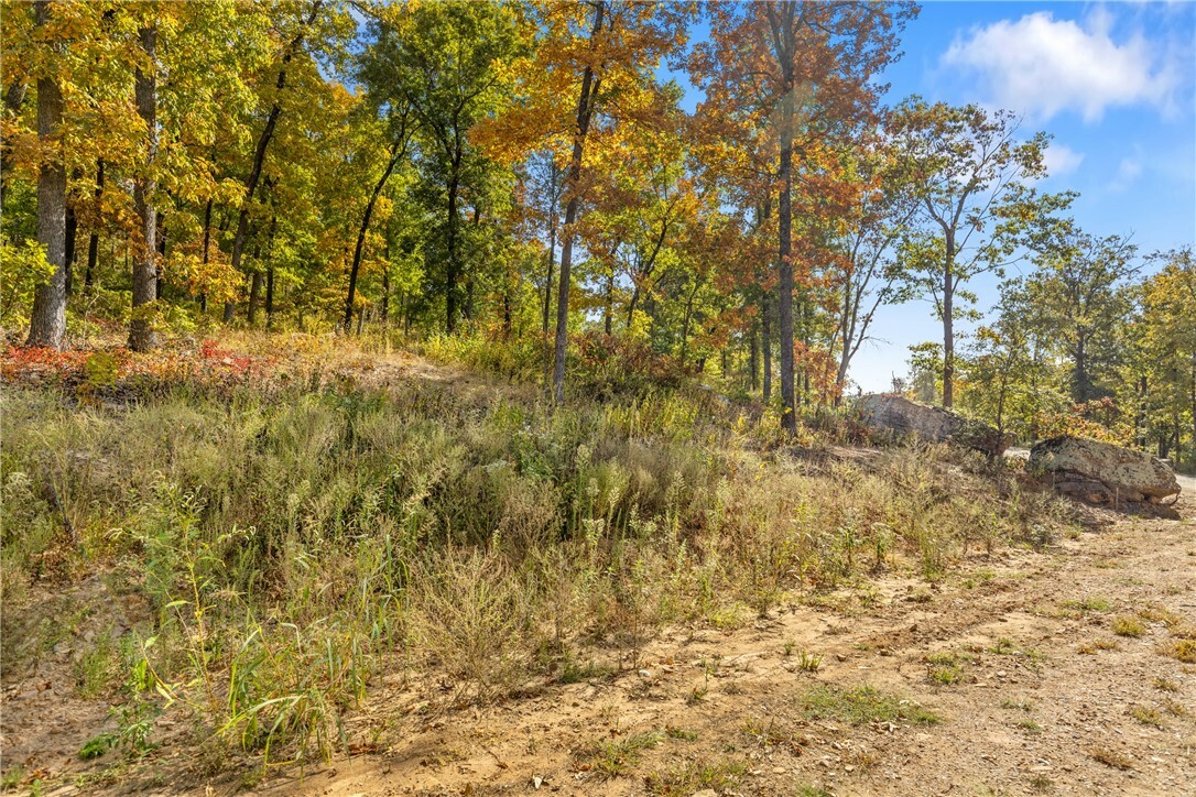 Property Photo:  Lot 58 Restore Ridge  AR 72601 