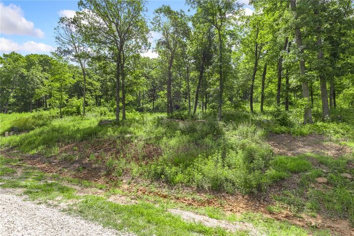 Property Photo: Lot 58 Restore Ridge AR 72601