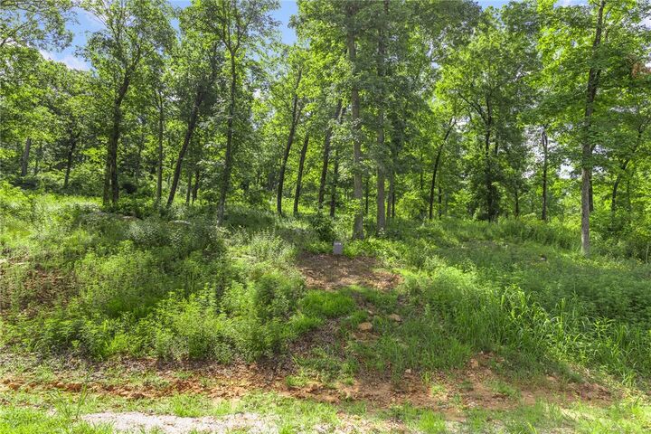 Property Photo:  Lot 58 Restore Ridge  AR 72601 