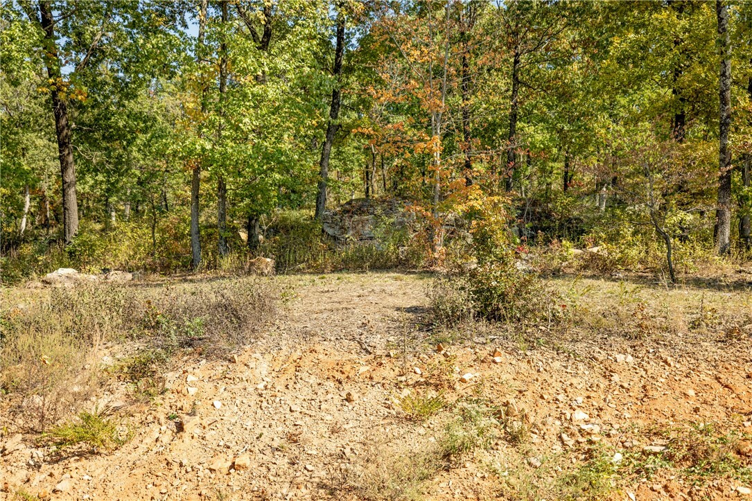 Property Photo:  Lot 60 Restore Ridge  AR 72601 