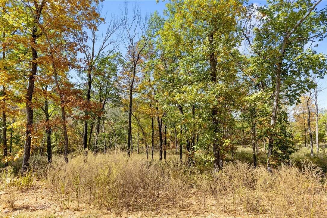 Property Photo:  Lot 71 Restore Ridge  AR 72601 