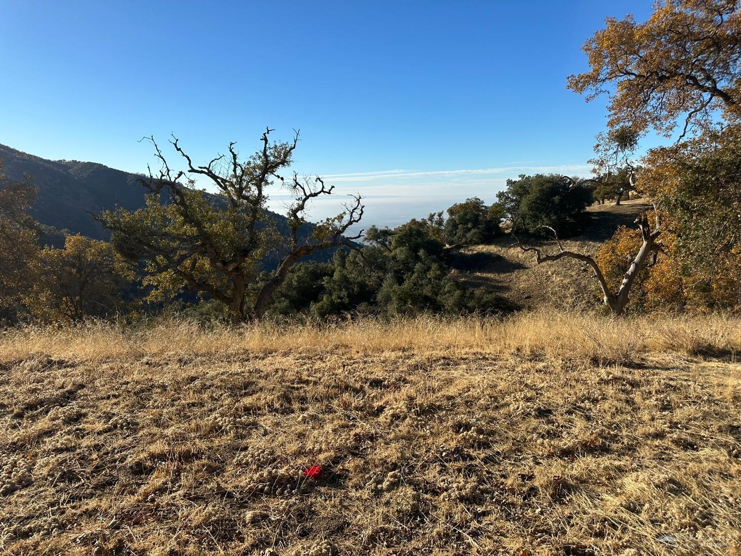 30310 Rolling Oak Drive  Tehachapi CA 93561 photo