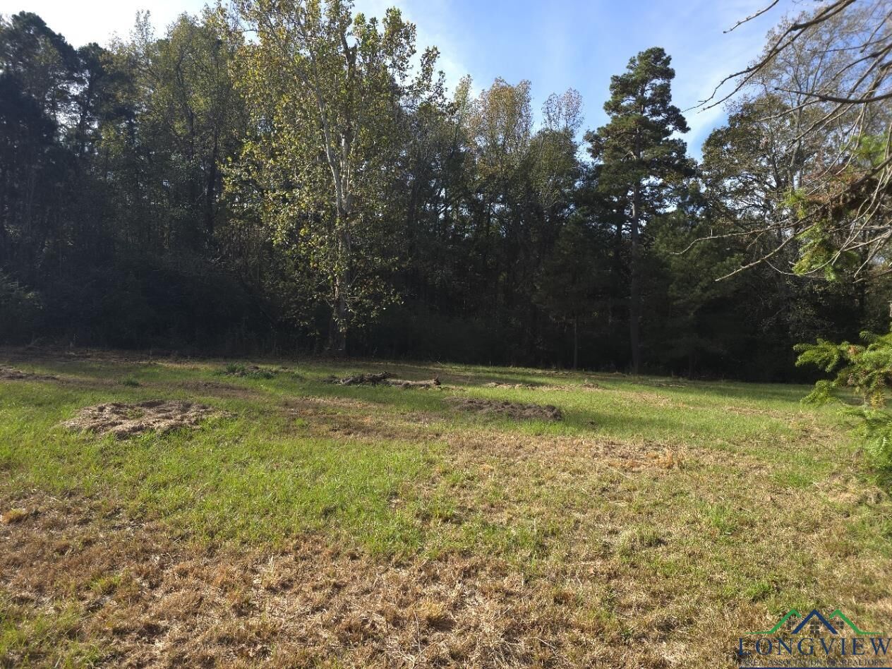 Property Photo:  4740 Hwy 77 E  TX 75551 