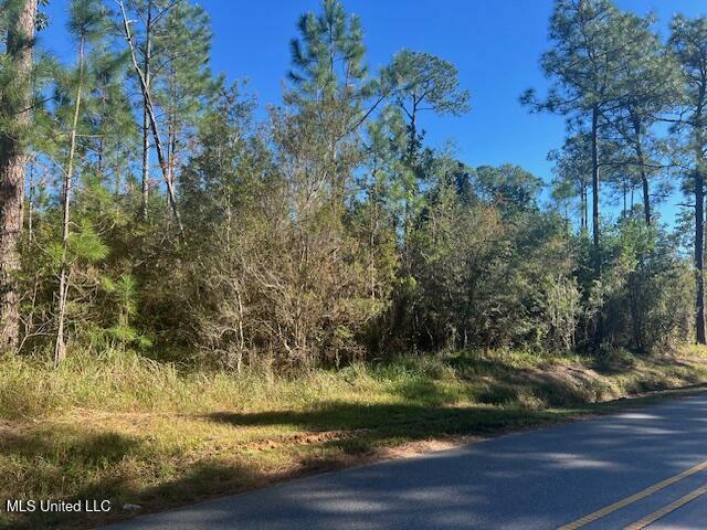 John Smith Road  Vancleave MS 39565 photo