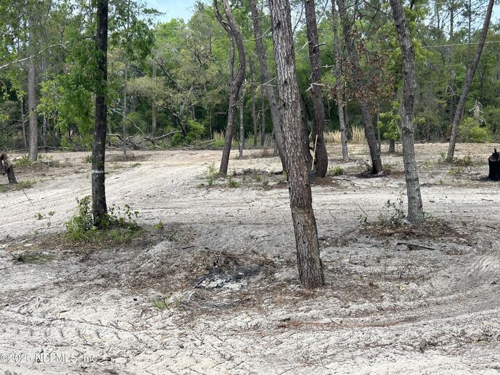 Property Photo: 101 New Jersey Street FL 32189