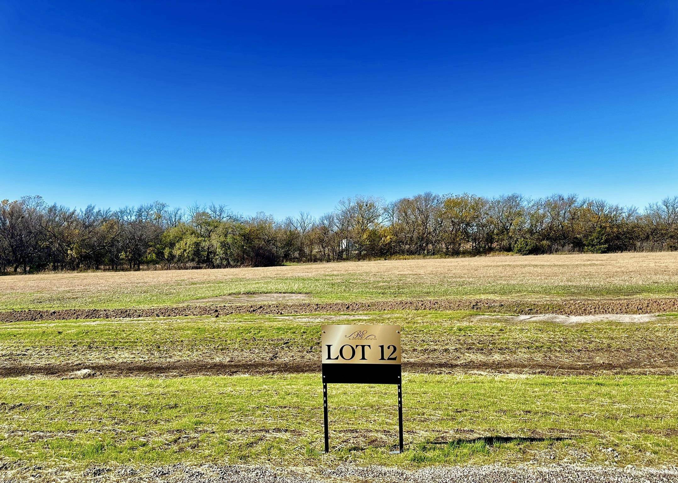 Property Photo:  Lot 12 Block A  KS 67037 