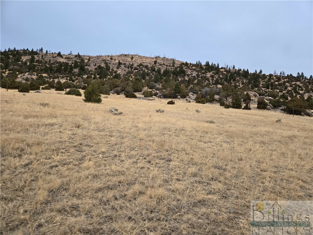 Property Photo:  822 Mt Highway 2 W  MT 59759 