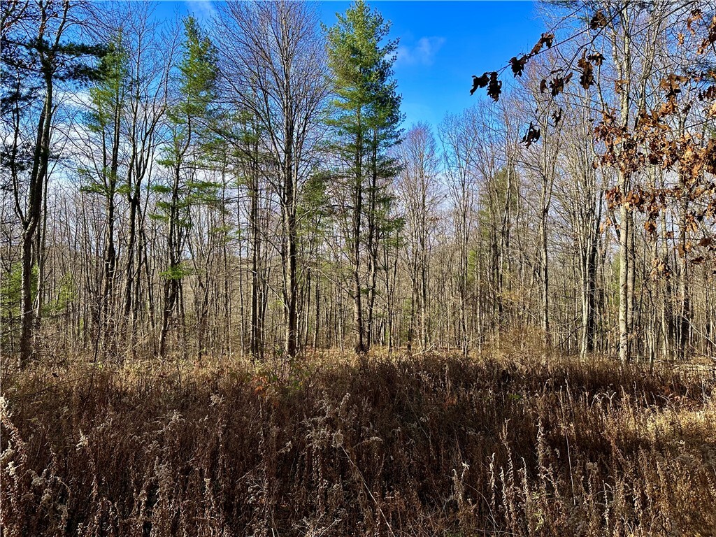 Property Photo:  Honeypot Road  NY 13743 