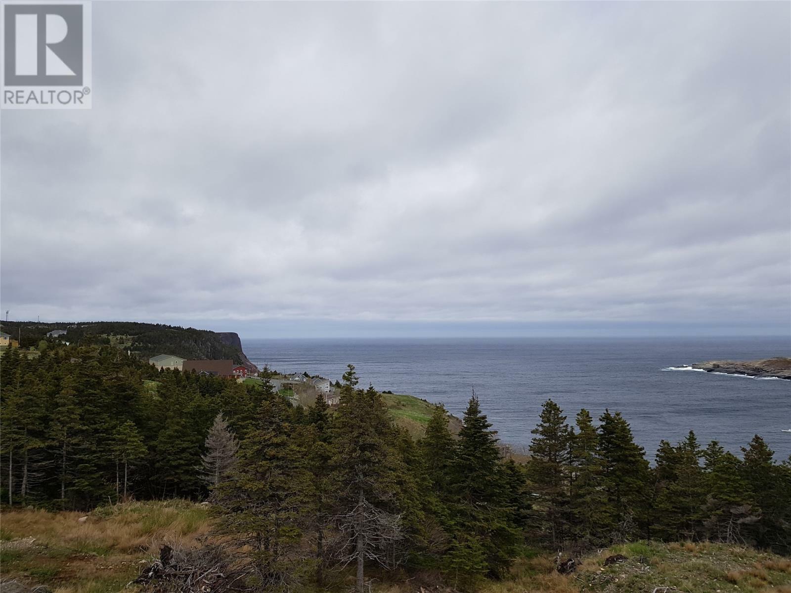 Photo de la propriété:  5 Wildberry Ridge  NL A1K 0M6 