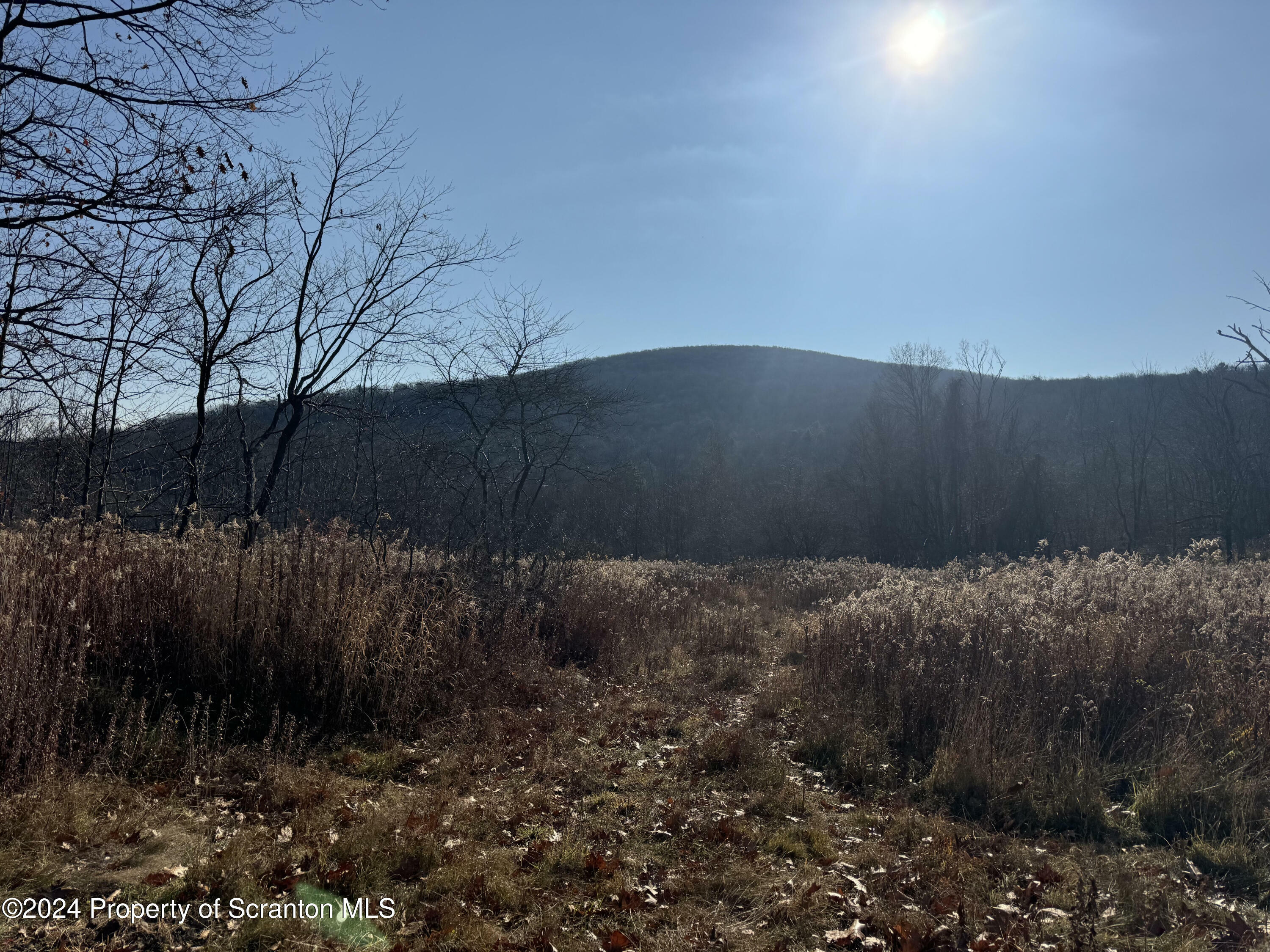 Property Photo:  Summit Lake Road  PA 18411 